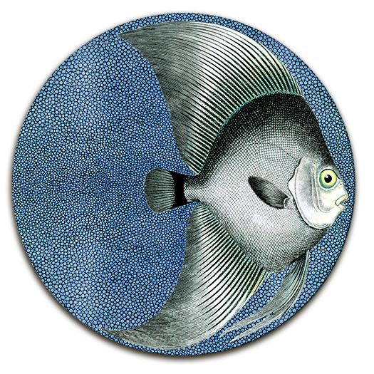 INDIVIDUAL REDONDO pez azul